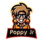 Player Poppy_Jr avatar