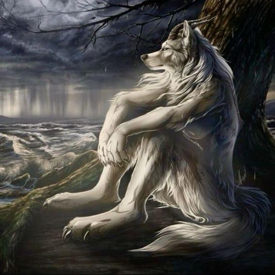 VARSHALL avatar