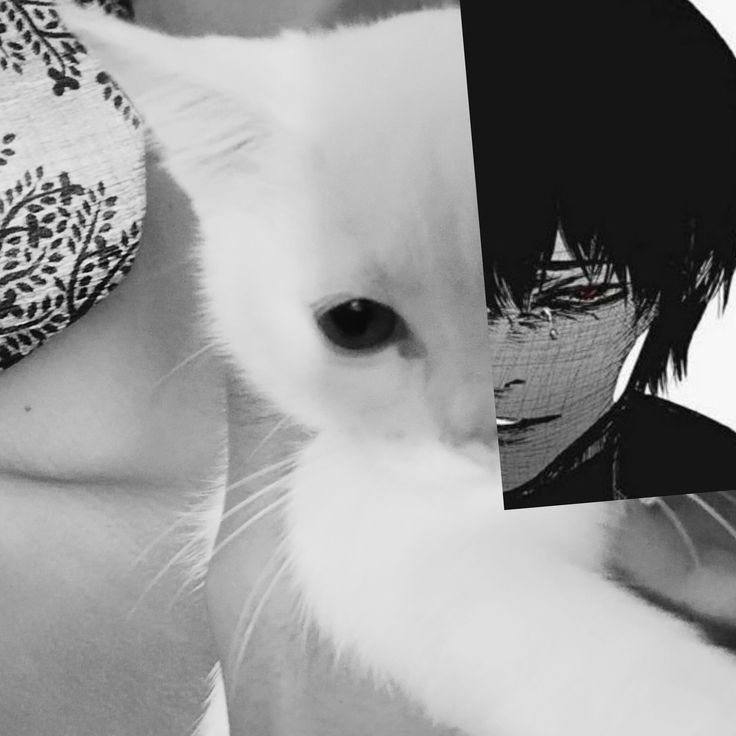 rizee13 avatar