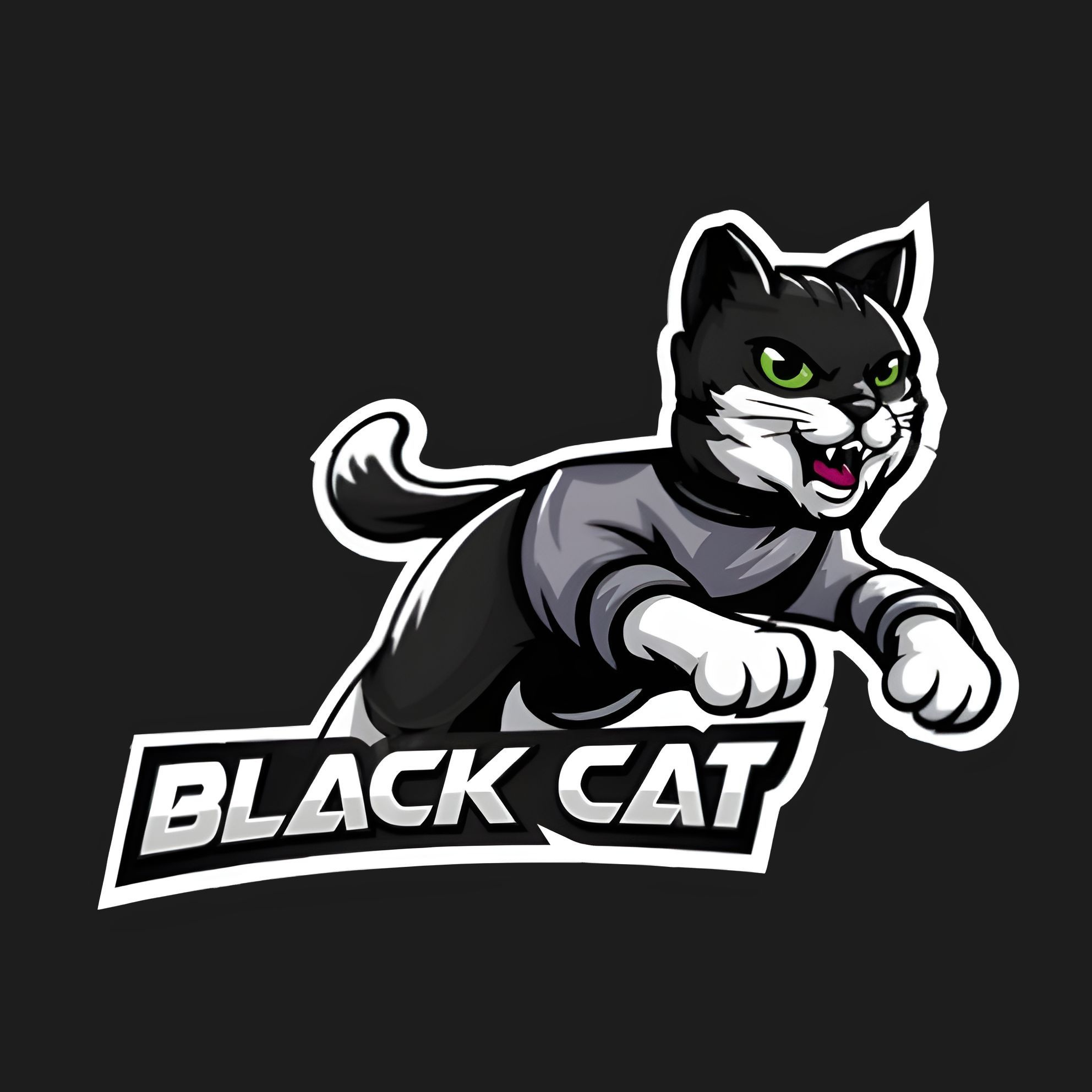 BlackCat Esport