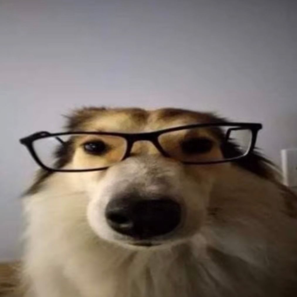 duzyHuuj