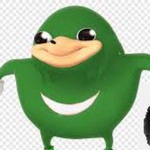 sondle avatar
