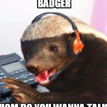 HoneyTBadger avatar