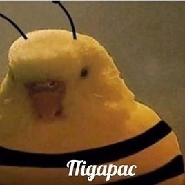 _zhik