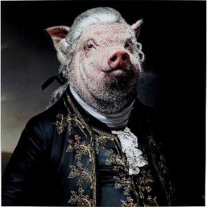 VarmWill avatar