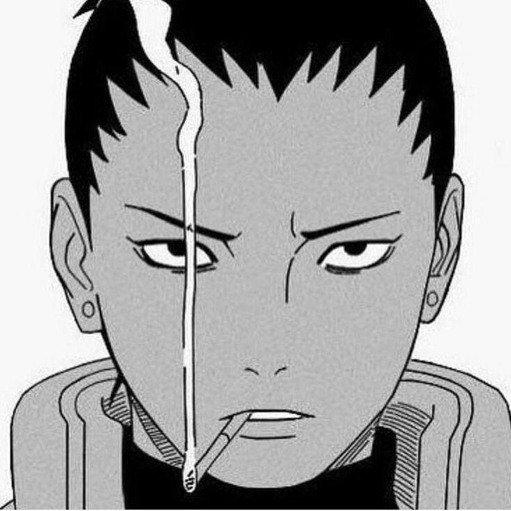 sok_debil avatar