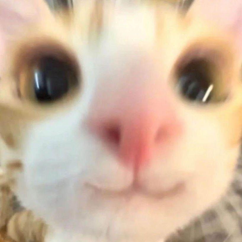 deeepsea avatar