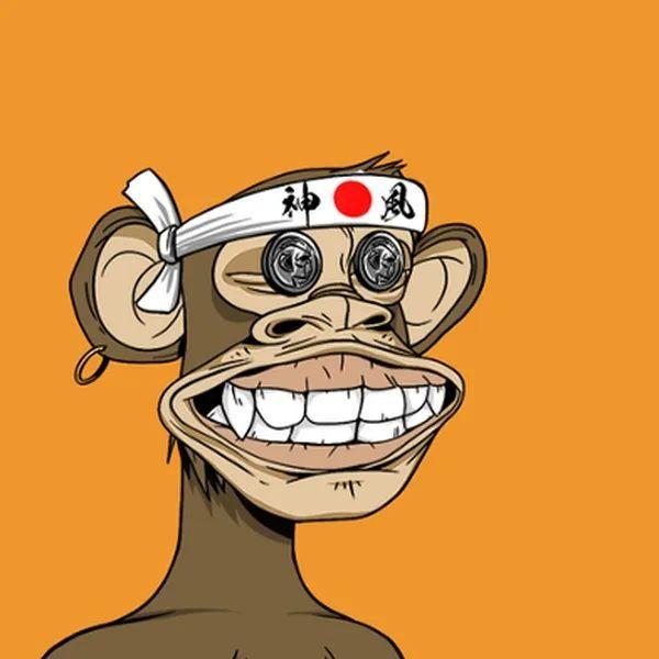 Romagay13477 avatar