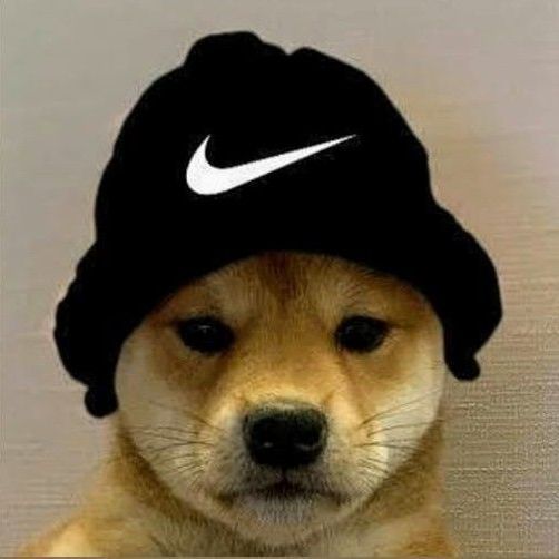 xanderz