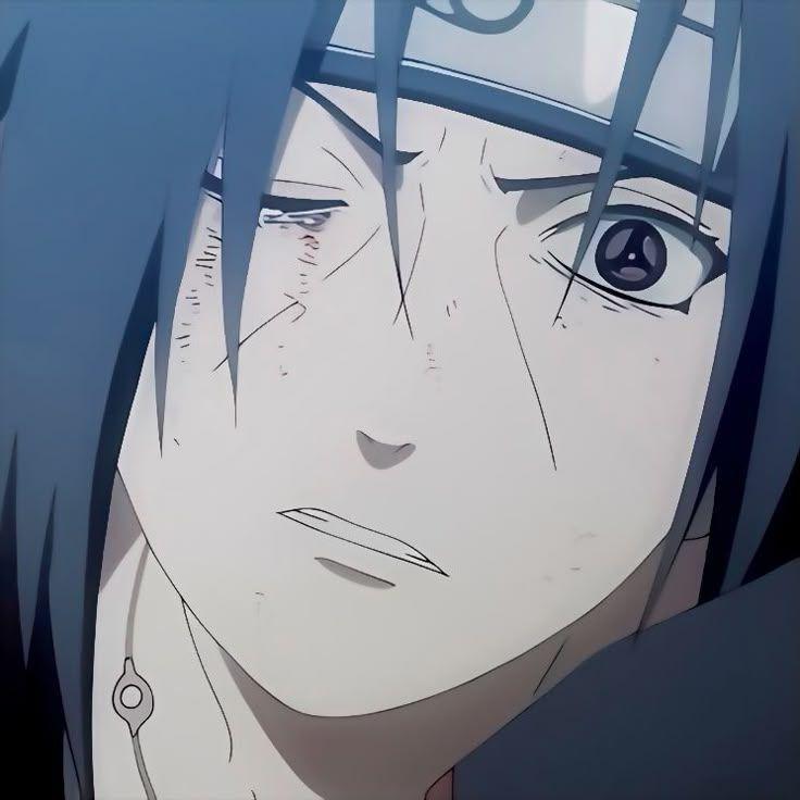 FandY--- avatar