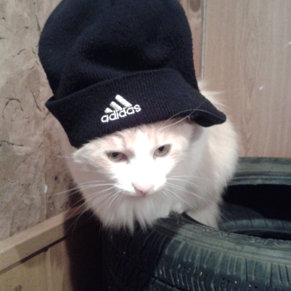 sukloool