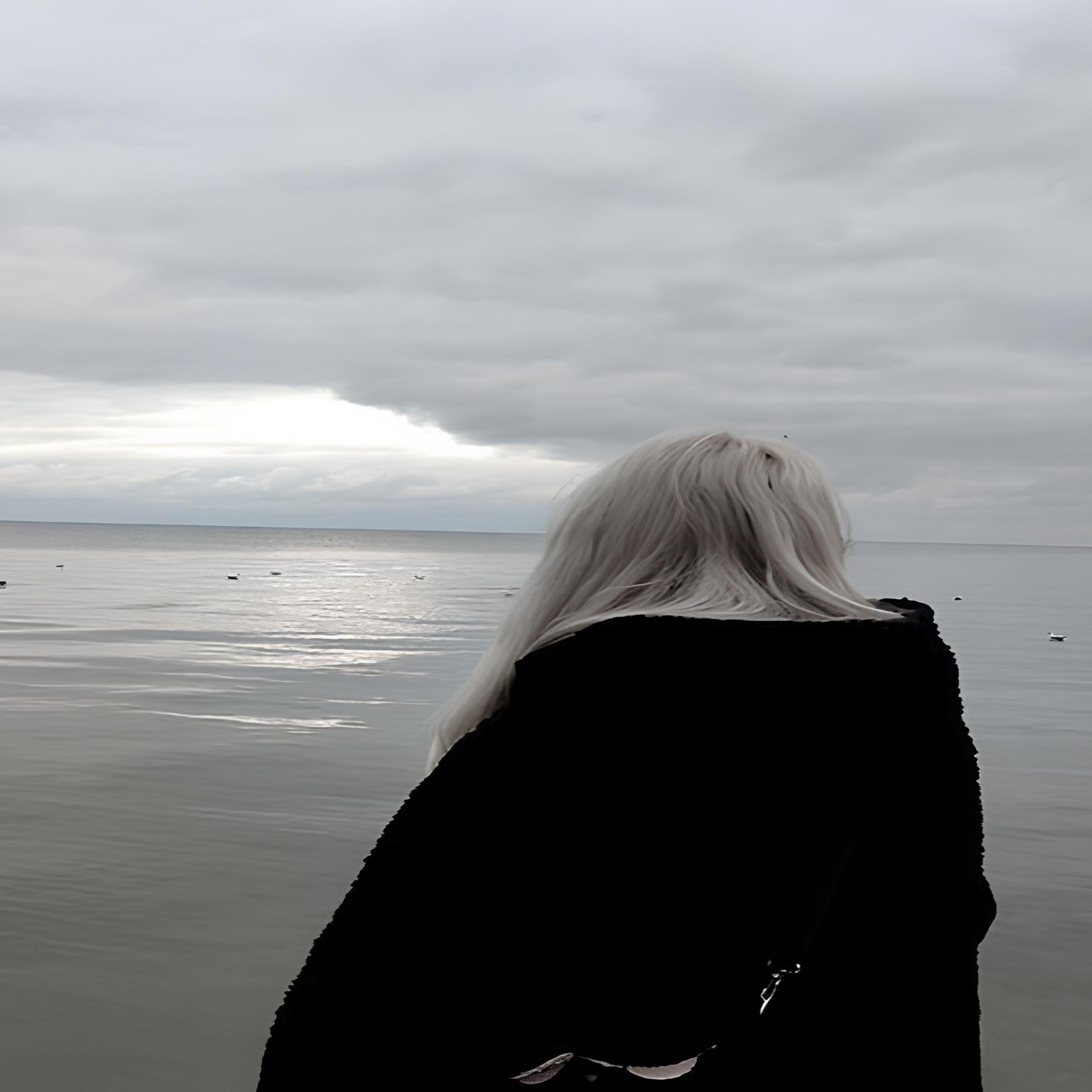 Abaydno52