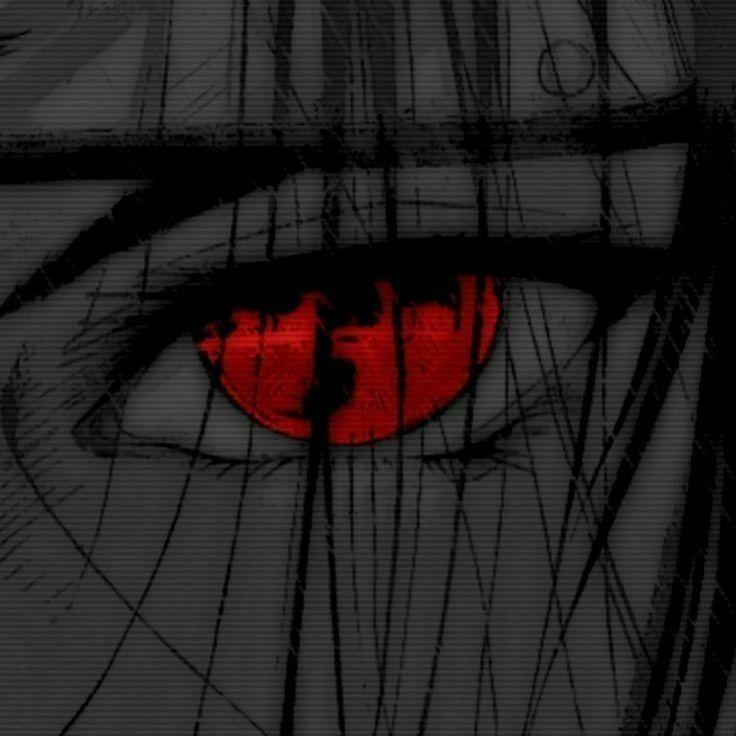 --woxy avatar