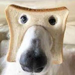 Jiljare avatar