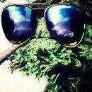 _DOMAL FACEIT avatar