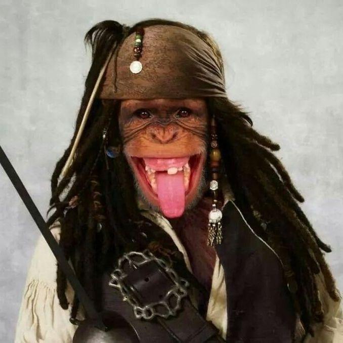 BarnK avatar