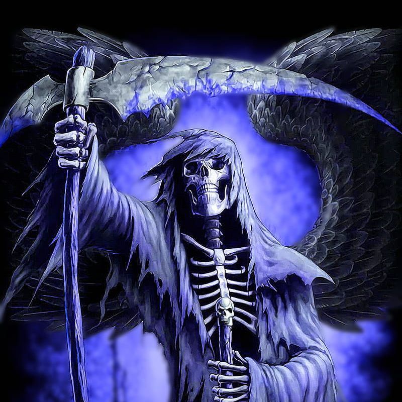 vikationu avatar