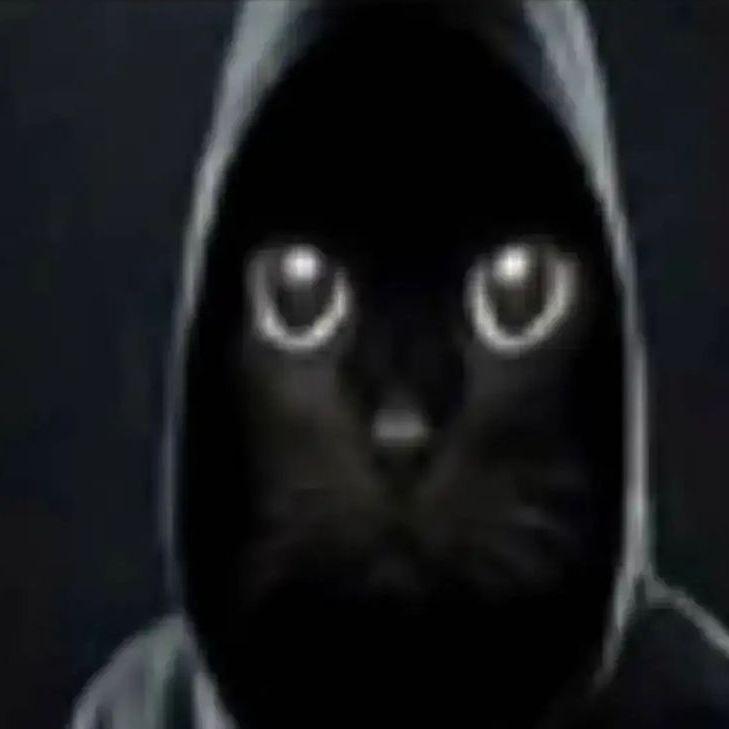 r6f avatar