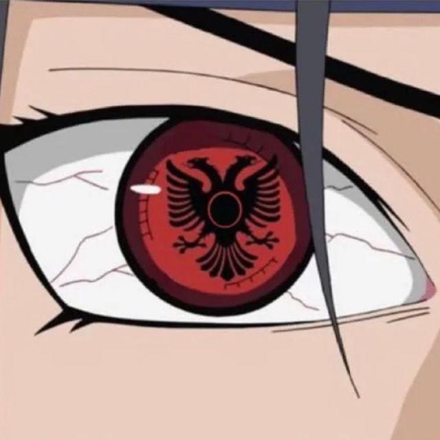 AlboTREN