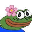 Cutege avatar