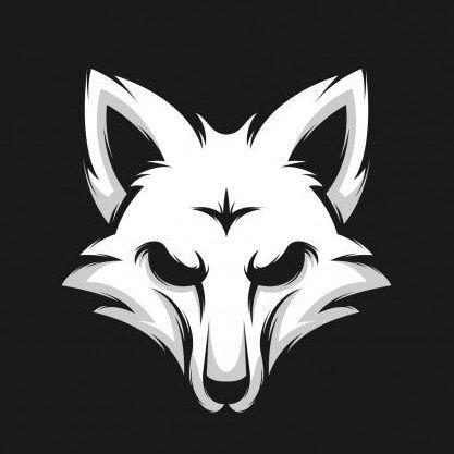 The_MLG_Fox avatar