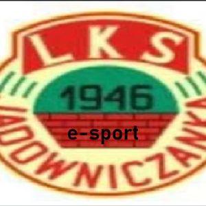 rokoski