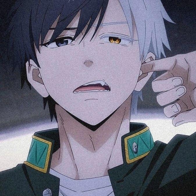 dggll avatar