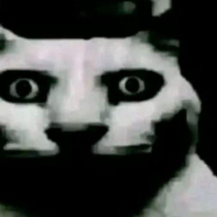 1Detonator1 avatar