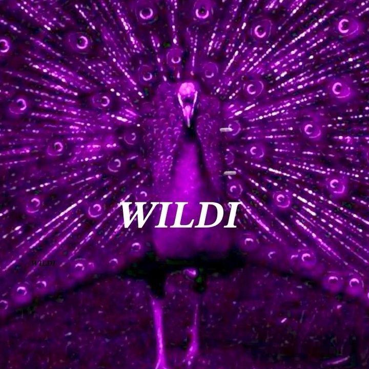 wildil avatar