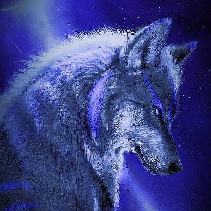 bluesky avatar