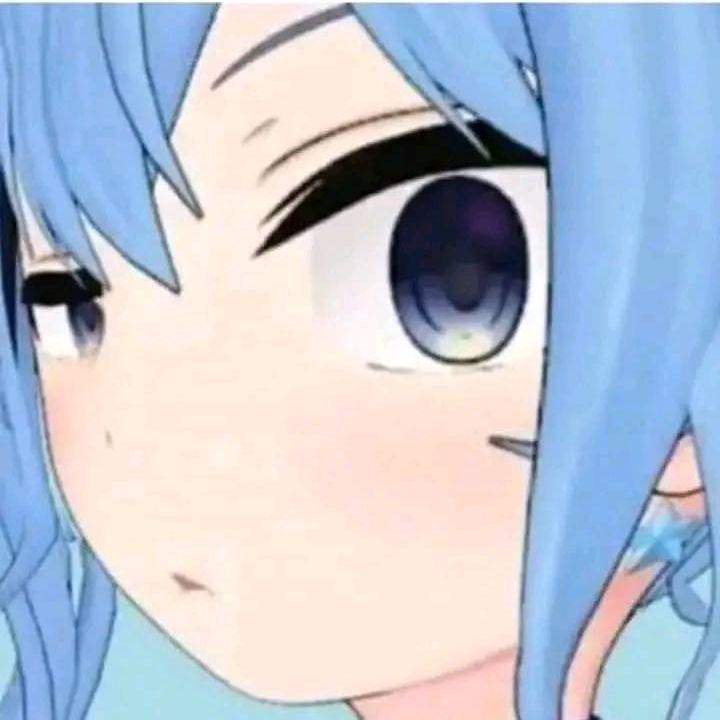 Suisegs