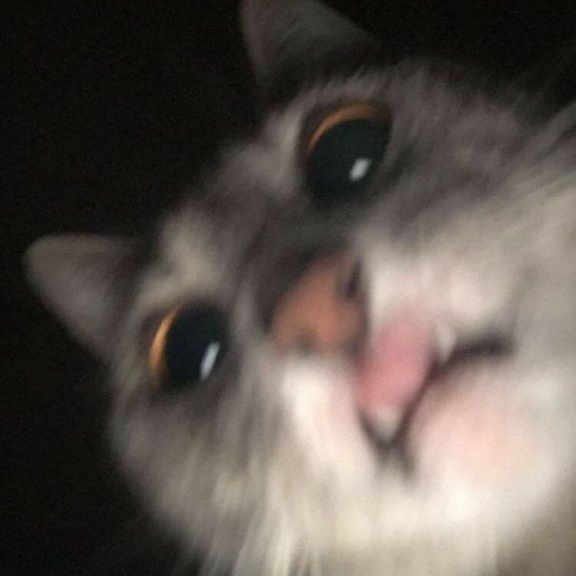 ROMCH4K1