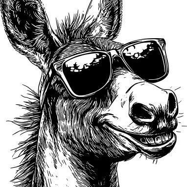 WDonKey avatar