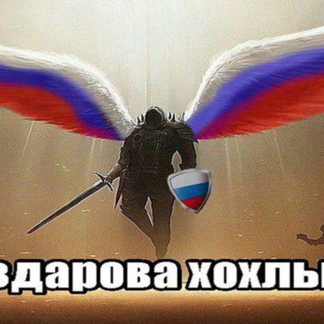 team_d0r0vsk1y