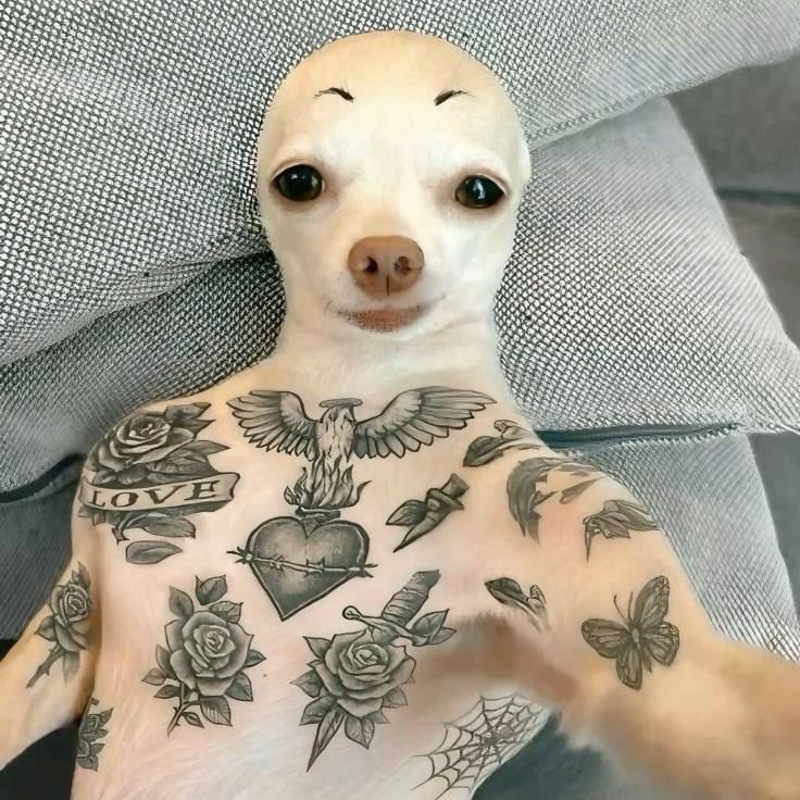 Babahab avatar
