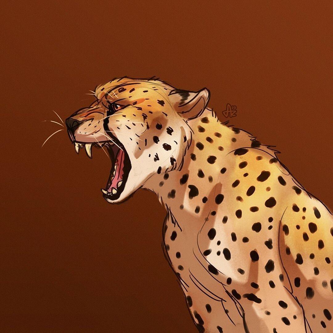 __cheetah__ avatar