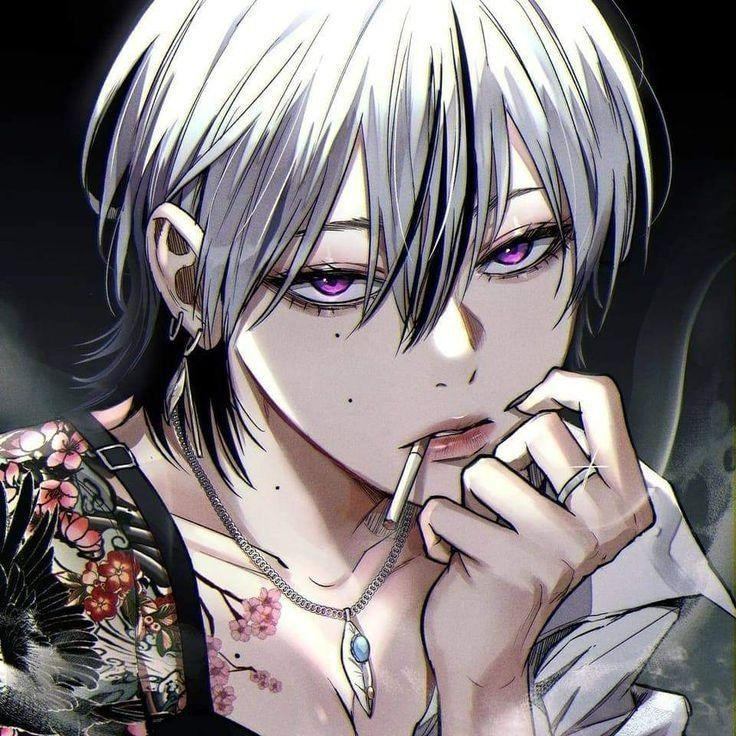 dix-sept avatar