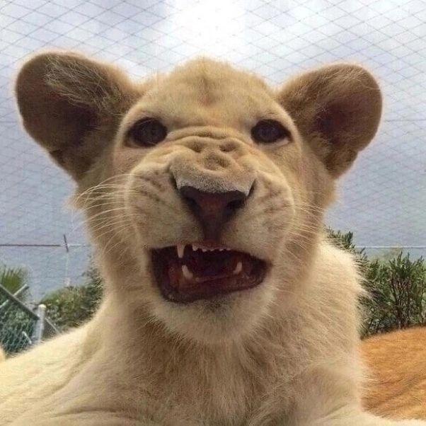aushpanaa77 avatar