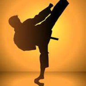 Vujitsu Gaming