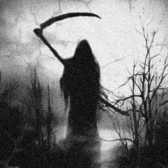 y0RKEN666 avatar