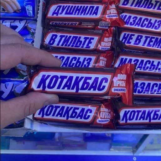amskiy667