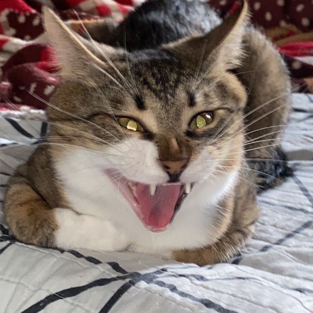 bl00dyJ0hnny