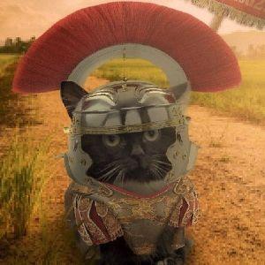 chmn- avatar