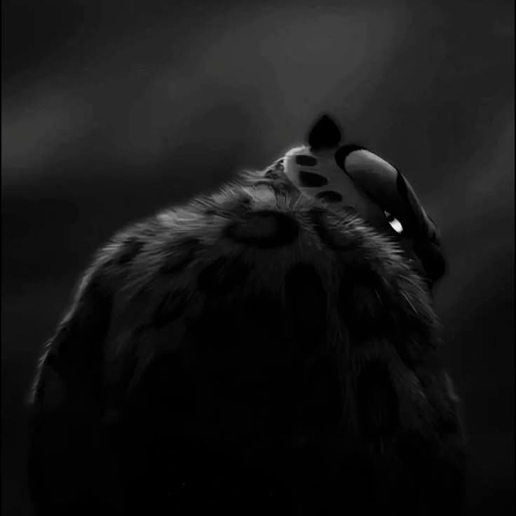 -GRoD-