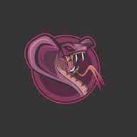 Team Snakes