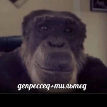 NaMatizePeek