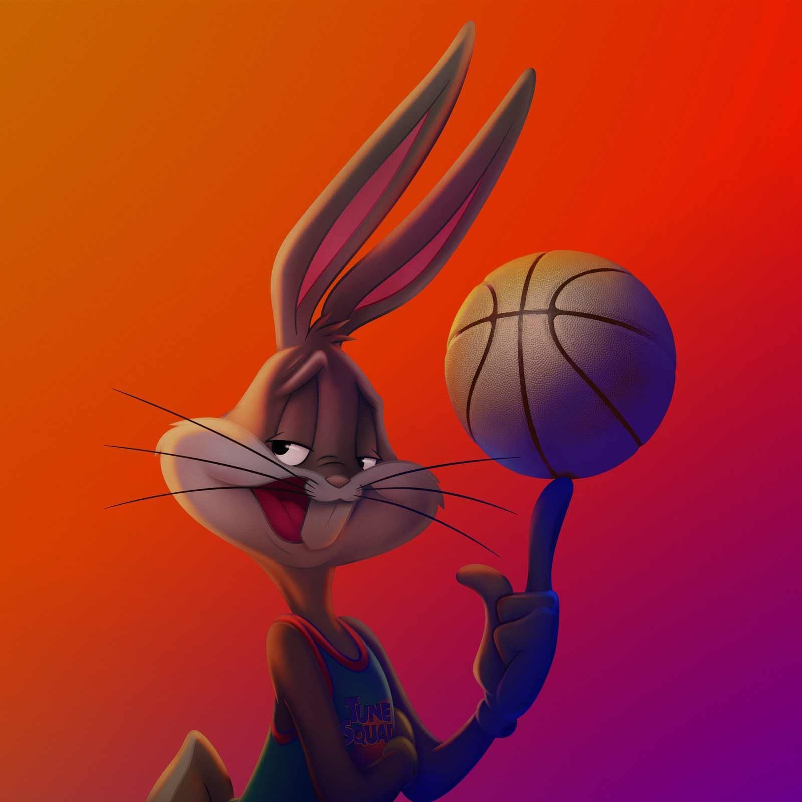 Bunny_Hoops