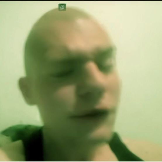 Rosol_Vicia