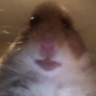 MeXe8 avatar