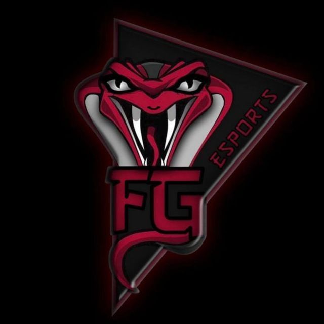 FG ESPORTS